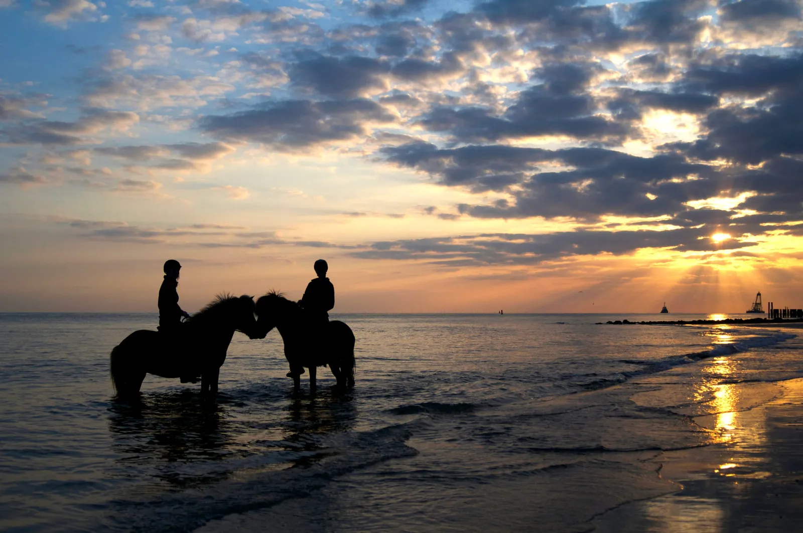 IJslandse paarden bij zonsondergang op het strand