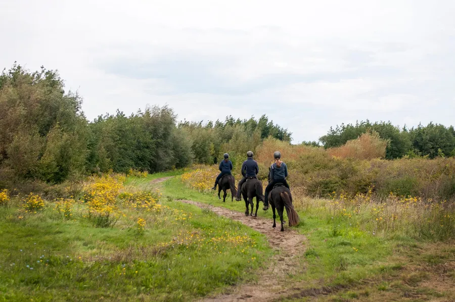 Omgeving Meliskerke