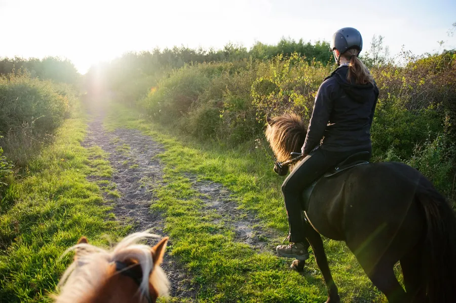Omgeving Meliskerke