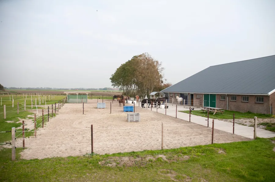 De paddocks