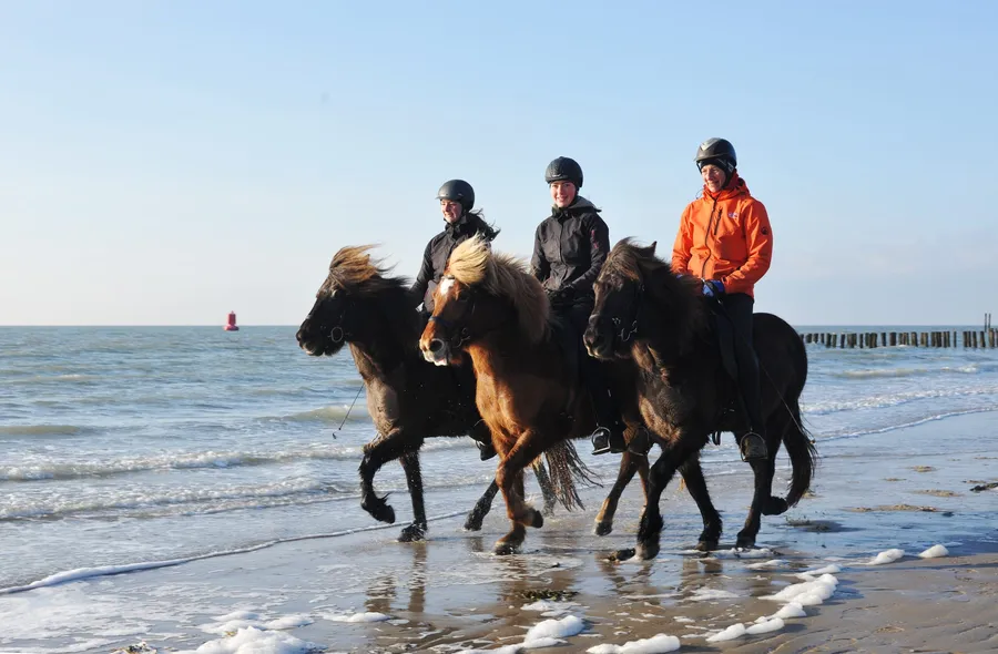 Strandrit